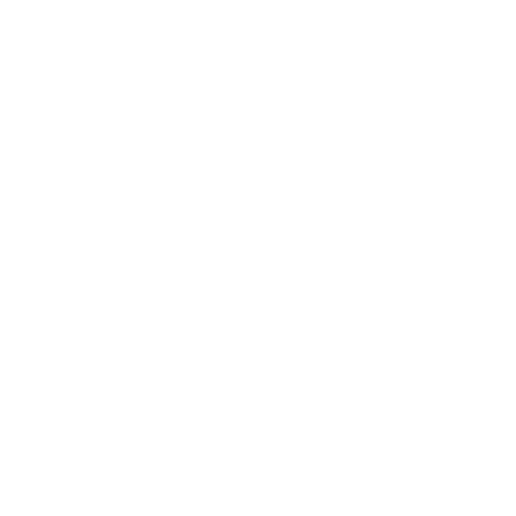 Boundary Surveys